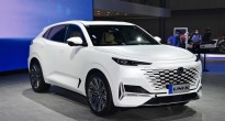 Mẫu SUV Trung Quốc đẹp như viễn tưởng, giá rẻ cạnh tranh Santa Fe và Sorento